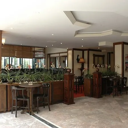 Noa Nergis 3* İçmeler